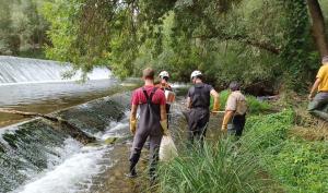Arrancan los trabajos de permeabilización de dos azudes en el río Najerilla (La Rioja) para permitir el paso de peces, y mejorar el estado ecológico